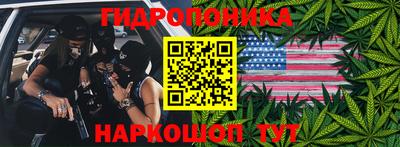 дурь Бийск