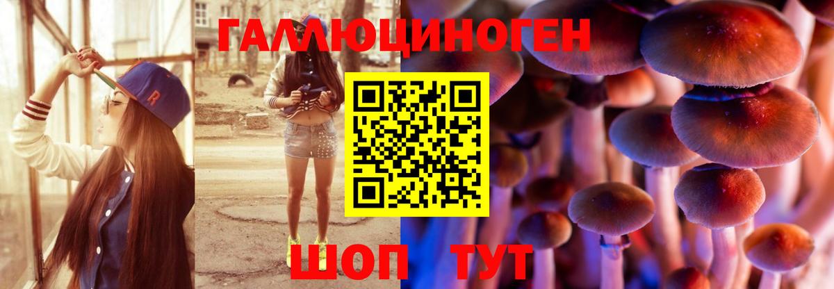 Псилоцибиновые грибы мицелий Зерноград